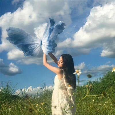极秘搜查