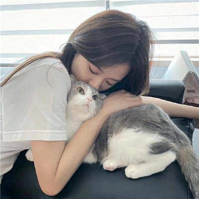 会飞的小精灵